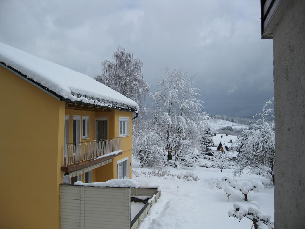 Gaestehaus Steininger Zwiesel Exterior foto